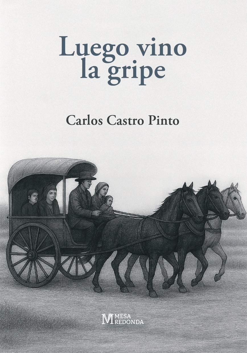 Luego_vino_la_gripe_portada